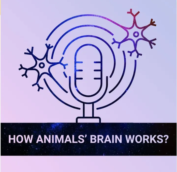 Cover art of the podcast How Animals' Brain Works